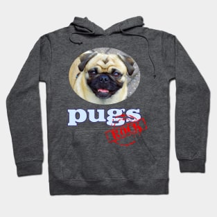 Pugs Rock! Hoodie